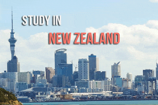 Top 5 trung tâm tư vấn du học New Zealand tốt nhất